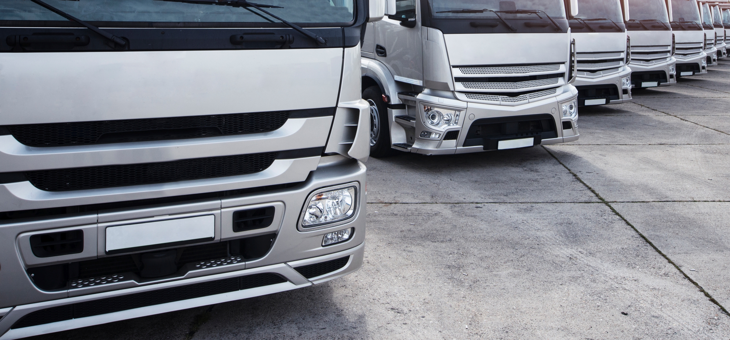 Group of trucks parked in a row.
